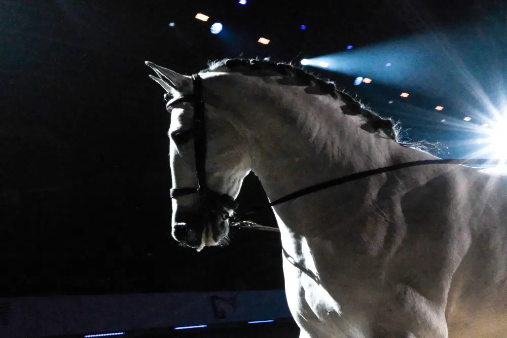 AdobeStock_761556218 (3)